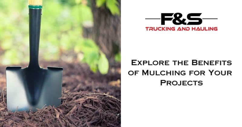 Explore the Benefits of Mulching for Your Projects