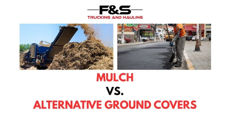 Mulch vs. Alternative Ground Covers