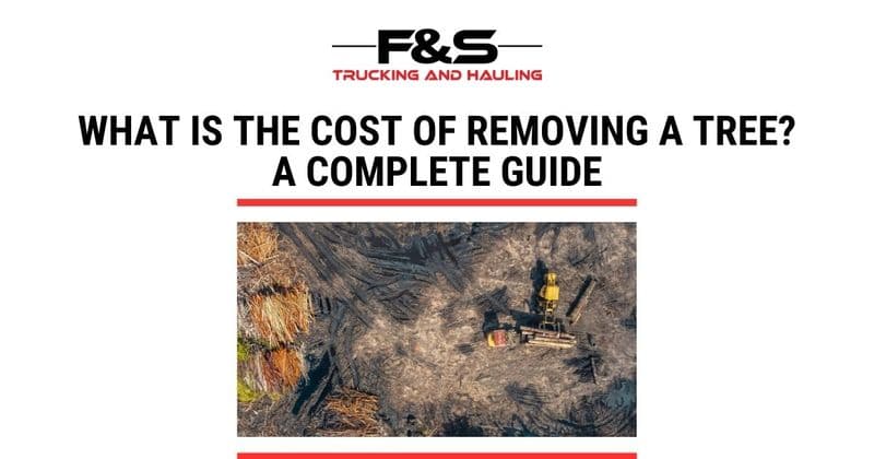 What is the Cost of Removing a Tree? A Complete Guide