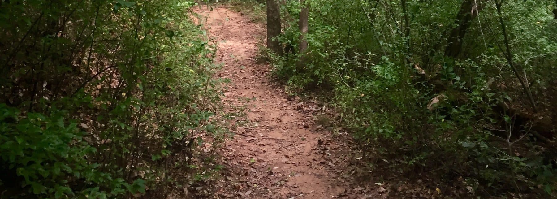 Dump Truck Hauling in Roebuck, SC